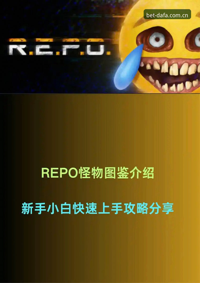 大发彩票平台最新动态：新版登录流程全面优化，新手也能快速上手